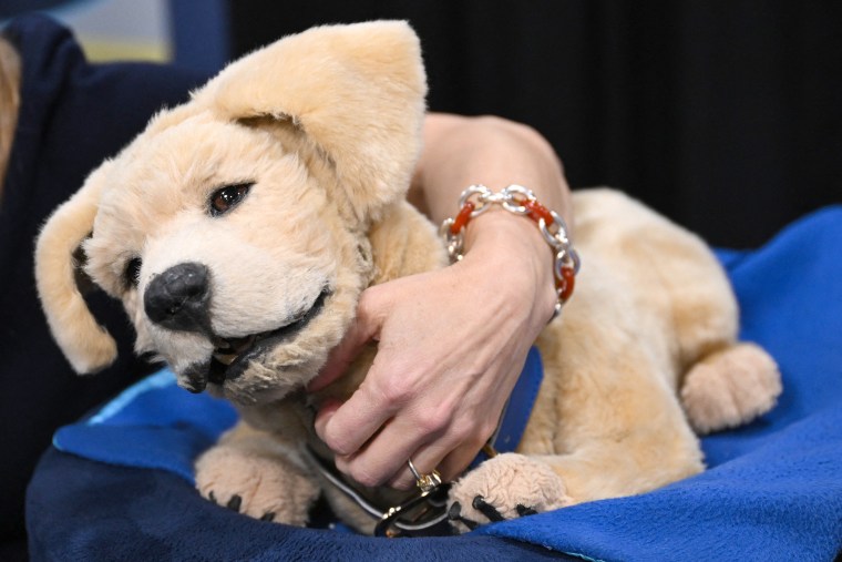 Image: pet dog robot tombot